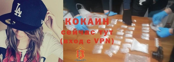 PSILOCYBIN Лагань