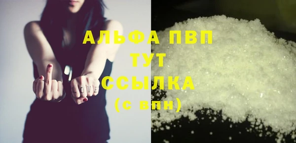 PSILOCYBIN Лагань
