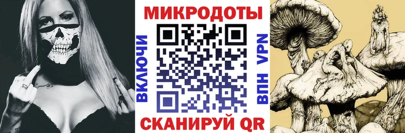 Галлюциногенные грибы мицелий  где купить наркотик  Приволжский 
